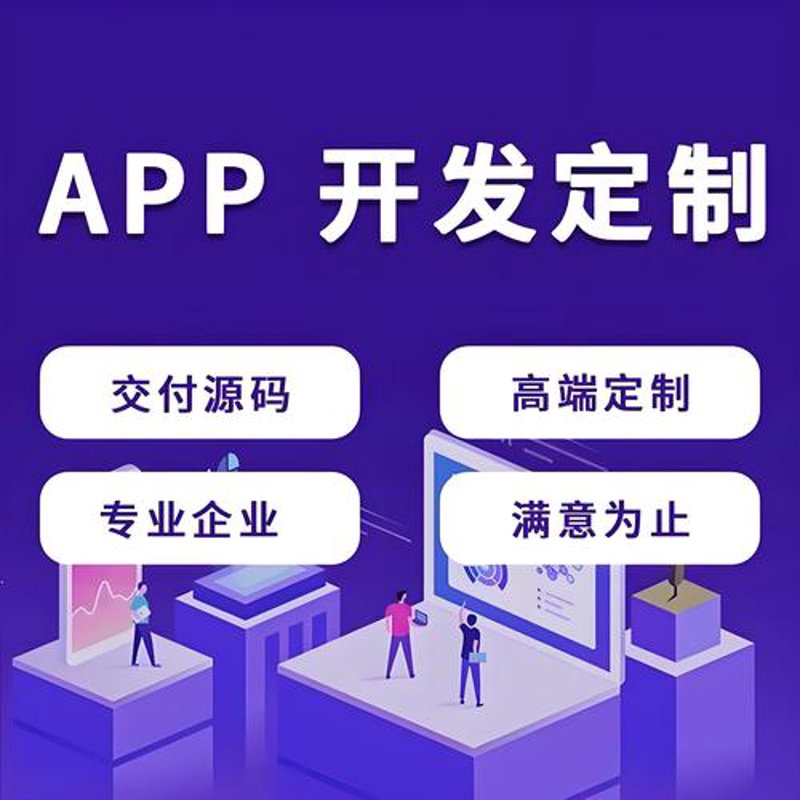 软件开发